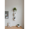 Jarron de Pared Floralink Blanco