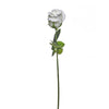 Velvet Rose 60cm Blanco